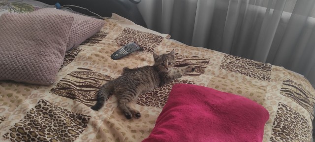 Чудо из под Пятерочки