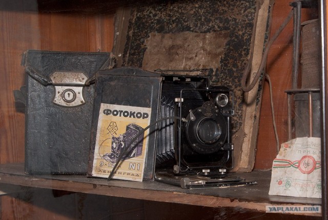 Нескучный выходной