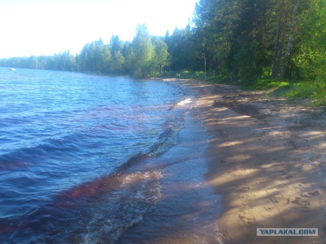 Русский север