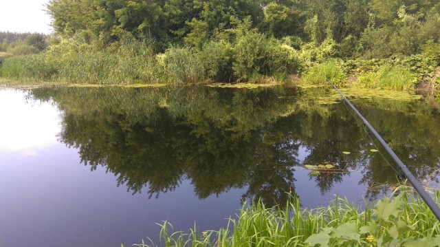 Доброе утро, рыбаки