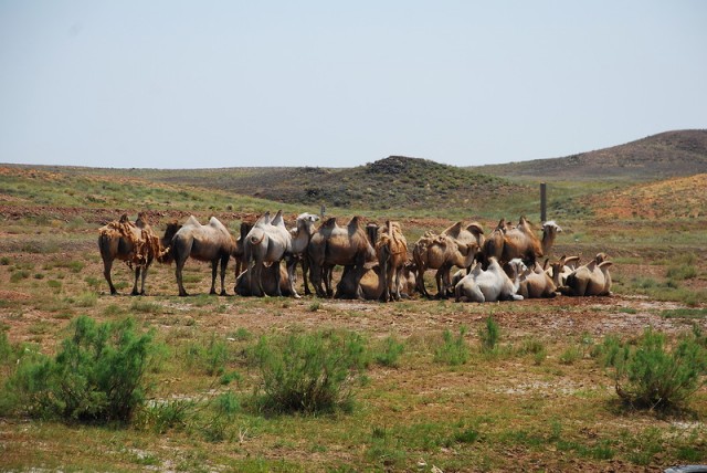 Путешествие на ВАЗе