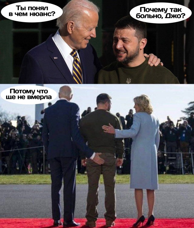 Мозгов нет, точно...