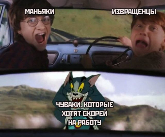 Картинки и мемы, выходные продолжаются