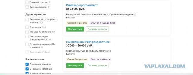 В России упростили процедуру трудоустройства и получения ВНЖ для иностранных IT-специалистов