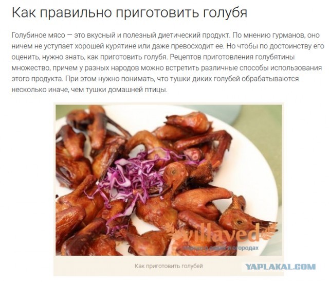 Операция: Поймать петушару