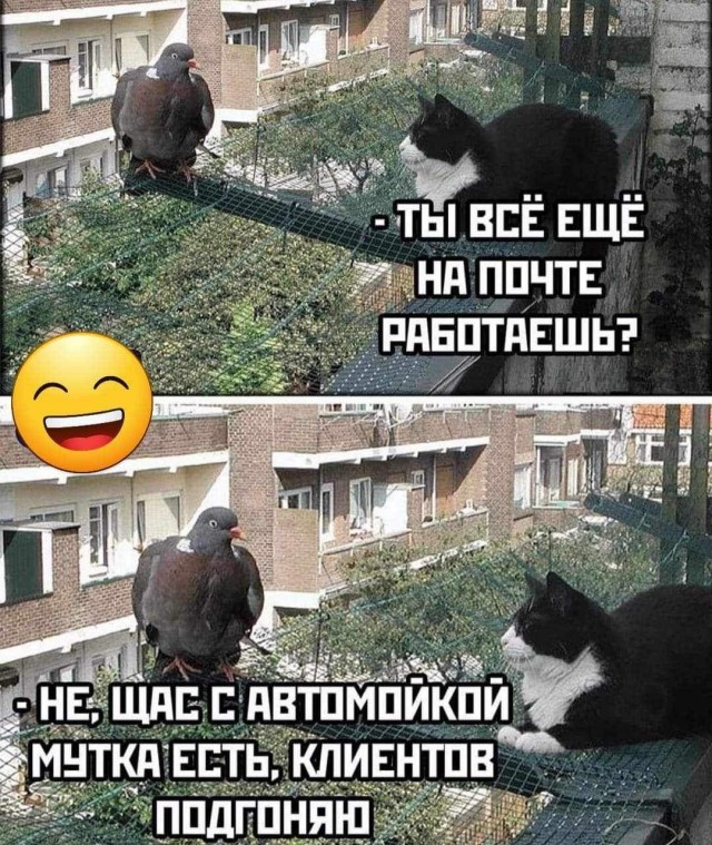 Картинки от Скодеро-2