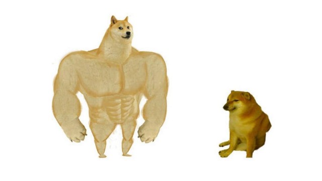 Умер пёс-герой Doge мема