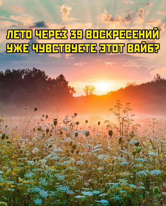 Весёлый полтишок 03.09.23