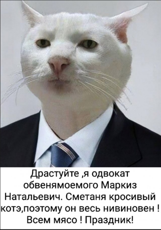 Преступник пойман по горячим следам и проведена зубоскопическая экспертиза