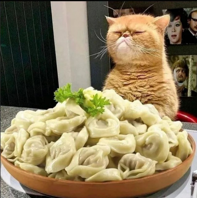 Школа джедаев. Начало