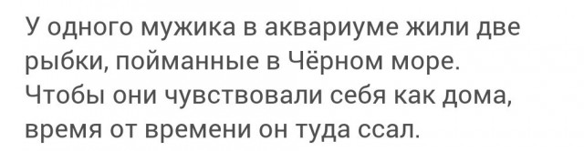 Картинки из Дристоля - 3