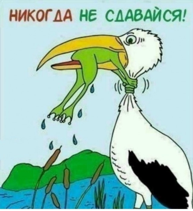 Десять пятничных картинок