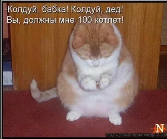 Что за эксперт?
