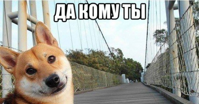 Презумпция виновности