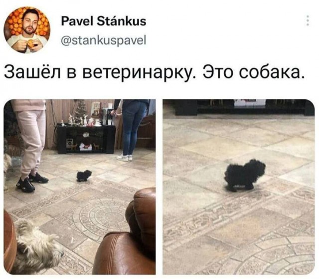 Завалялось тут случайно немного забавных картинок