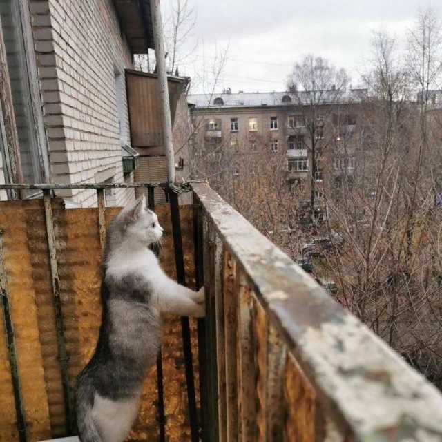 ФотоВинегрет