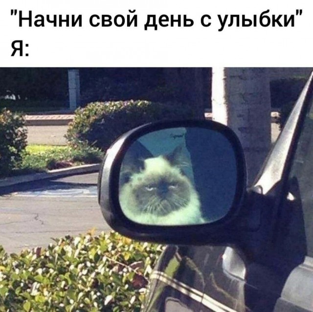 Никакие картинки и тексты