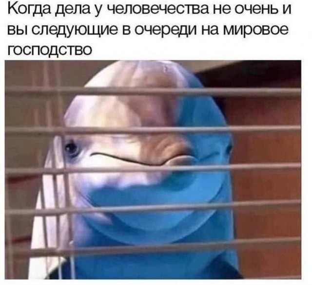 Никакие картинки и тексты