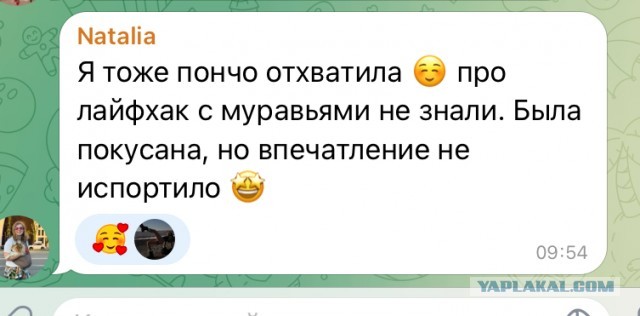 Hello Camper – месть Оргов.