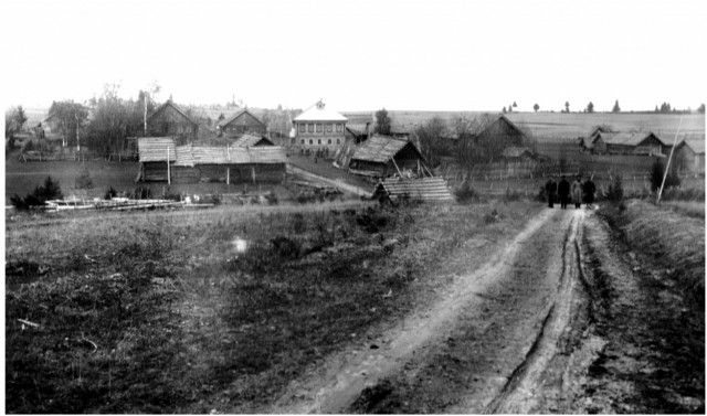 1917-1920. Из архива генерала Антона Ивановича Деникина