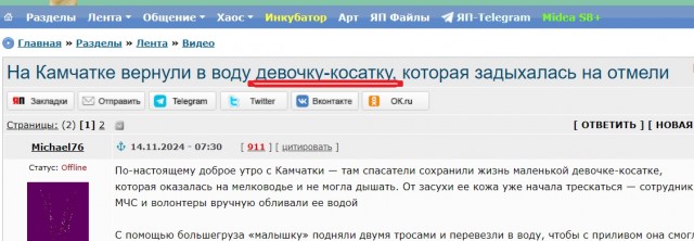 На Камчатке вернули в воду девочку-косатку, которая задыхалась на отмели
