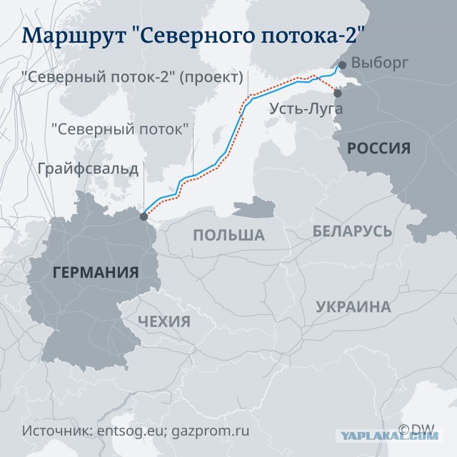 Инвестор из США заявил о готовности купить взорванный «Северный поток-2»