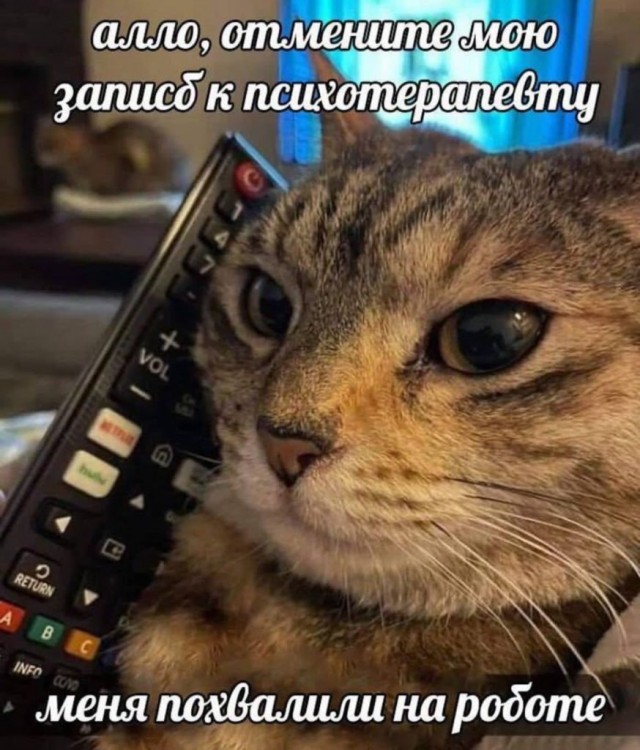 Завалялось тут случайно немного забавных картинок