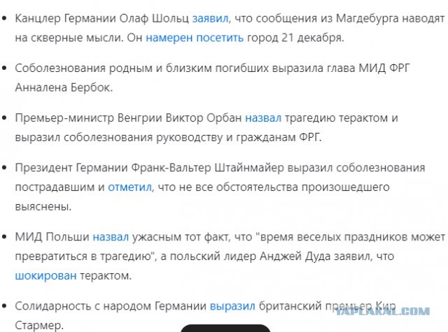 Террорист из Магдебурга: саудовский психиатр, разочарованный исламизацией Германии