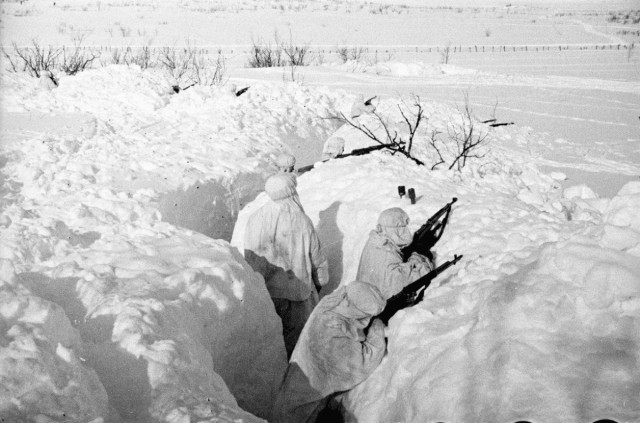 Бессмертный Полк ЯП. Голубев Дмитрий Павлович.
