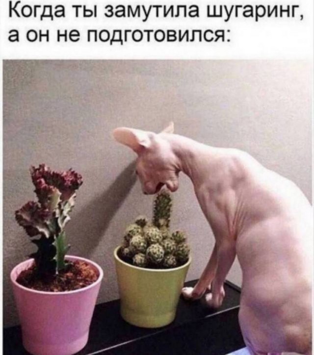 Картинки разные с надписями и без