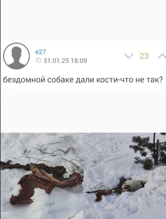 Зоошиза централизовано голосует против петиции 117415⁠⁠