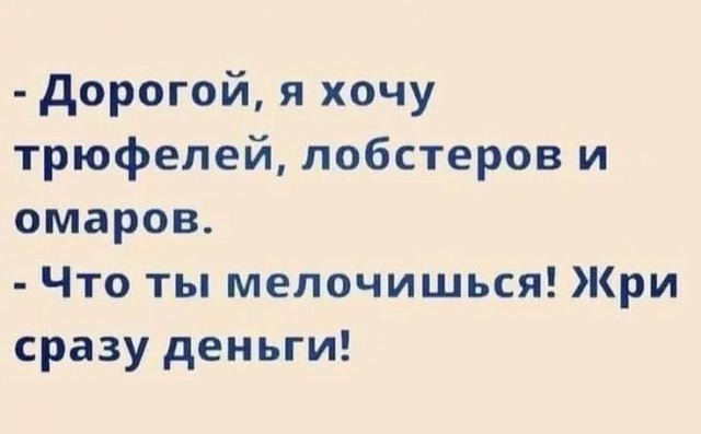 Весёлый полтишок 24.04.25