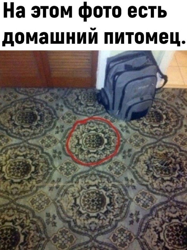 Так себе картинки 14.05.25