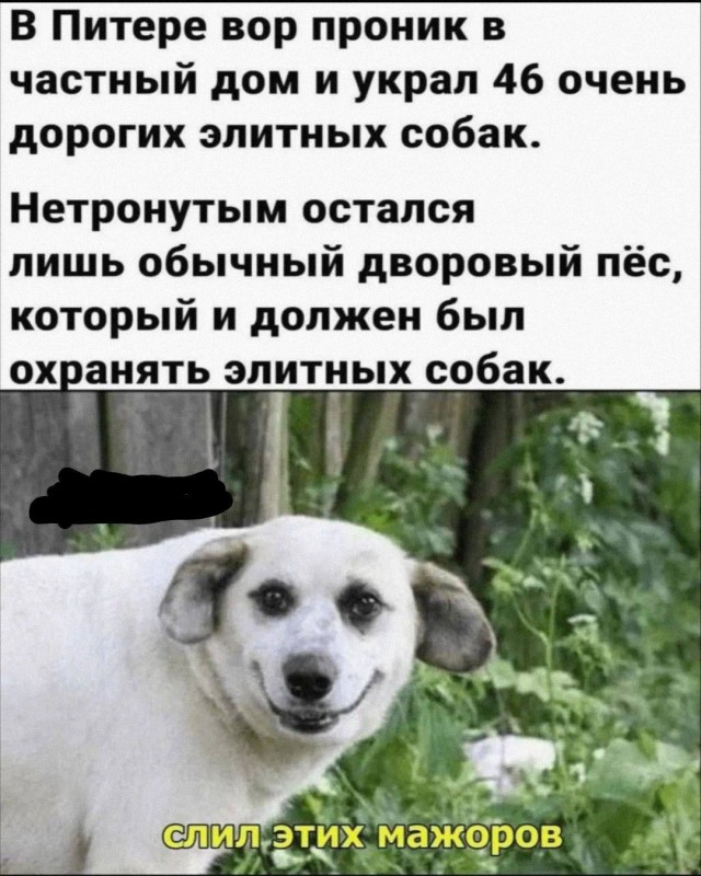 Маленькая пятница 21.05.25