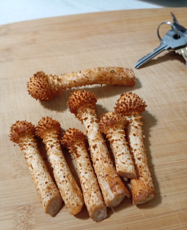 Гриб, берут сомнения, вроде опята, но юбки нет, выручайте