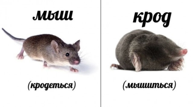 Это йазь?