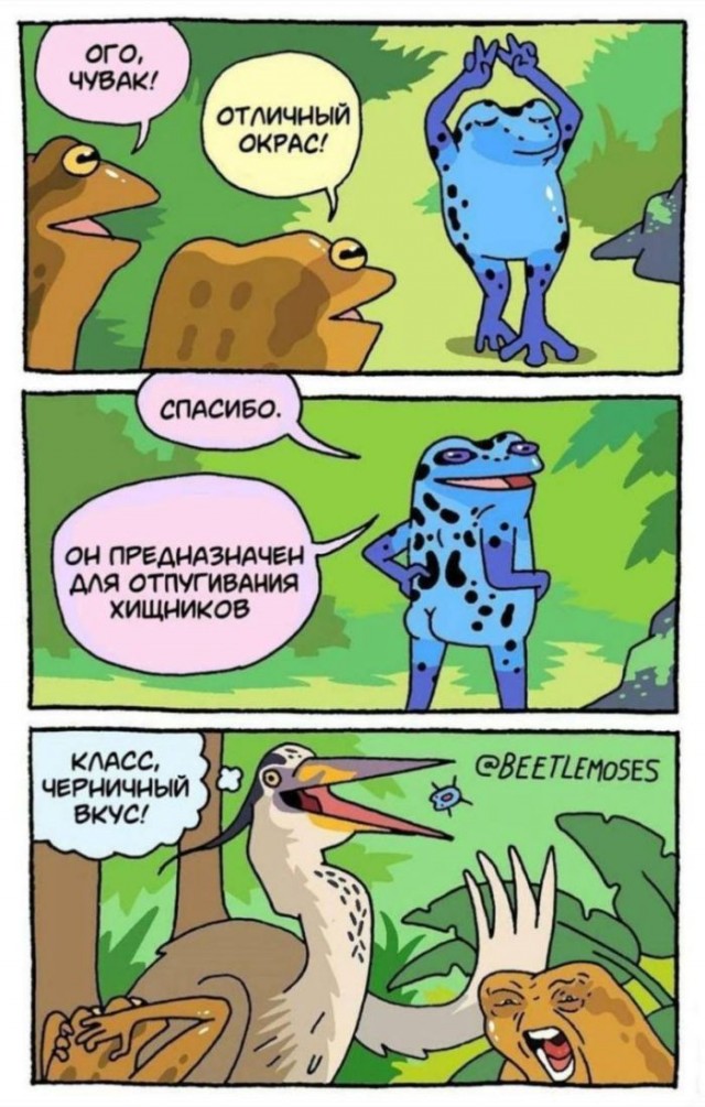 Картинки для деградации 53 (разной степени свежести)