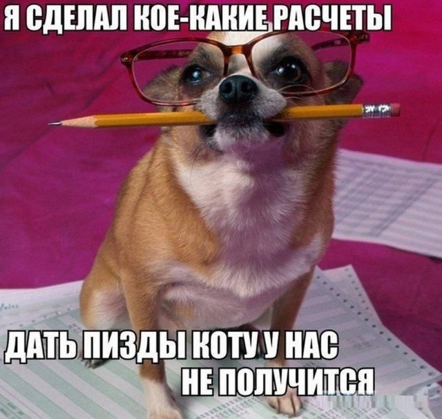 Веселые картинки в первый день октября (01.10)
