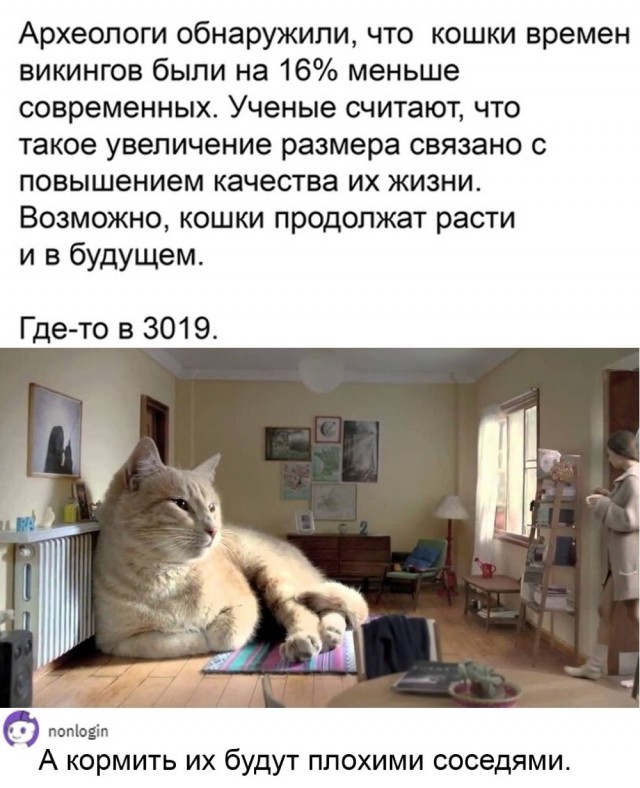 Субботние картинки