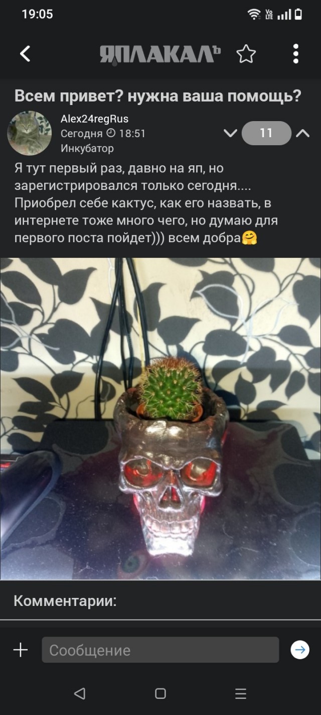 Всем привет? нужна ваша помощь?
