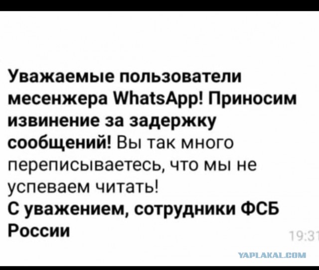 Веселое настроение в картинках (02.12.2025)