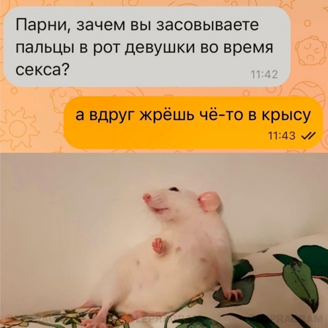 Картинки для деградации 98 (разной степени свежести)