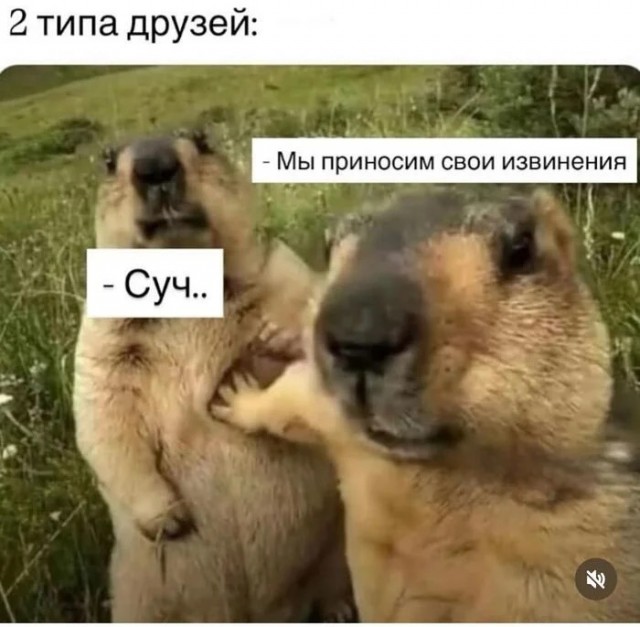 Прикольные и просто красивые картинки 12.12.2025