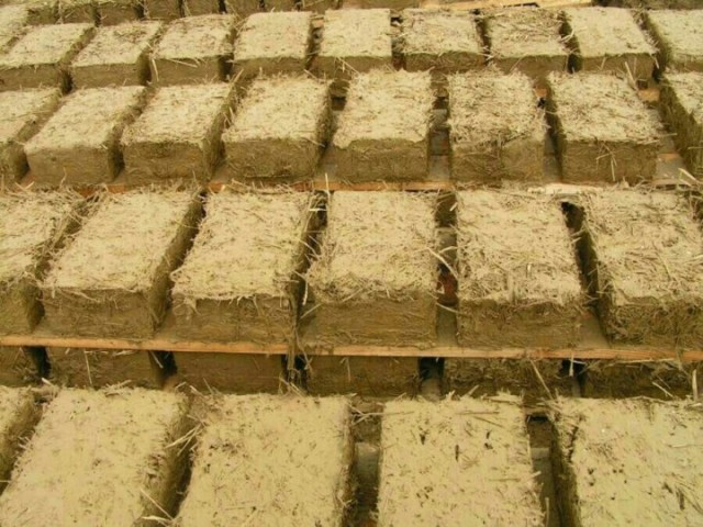 Фотографии из прошлого нашей страны – 125