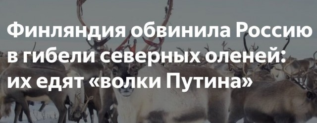 Ему нравится его работа