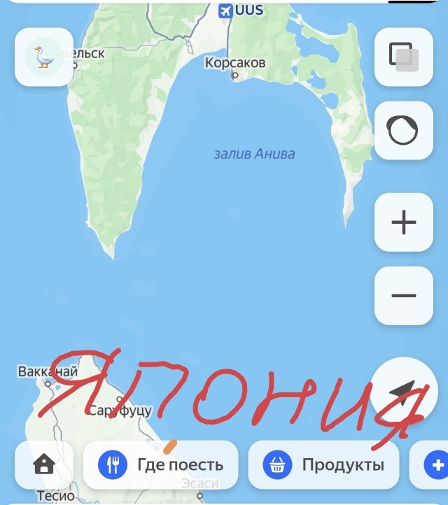 Пропавшего на юге Сахалина водолаза нашли живым