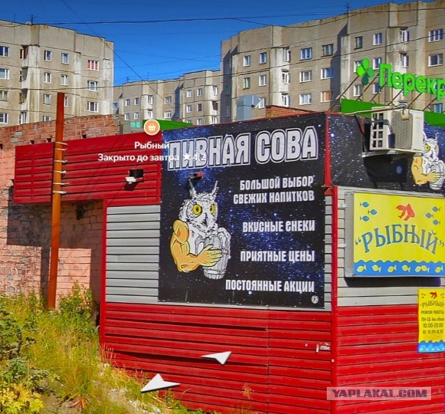 Если бы меня попросили охарактеризовать себя одной фразой