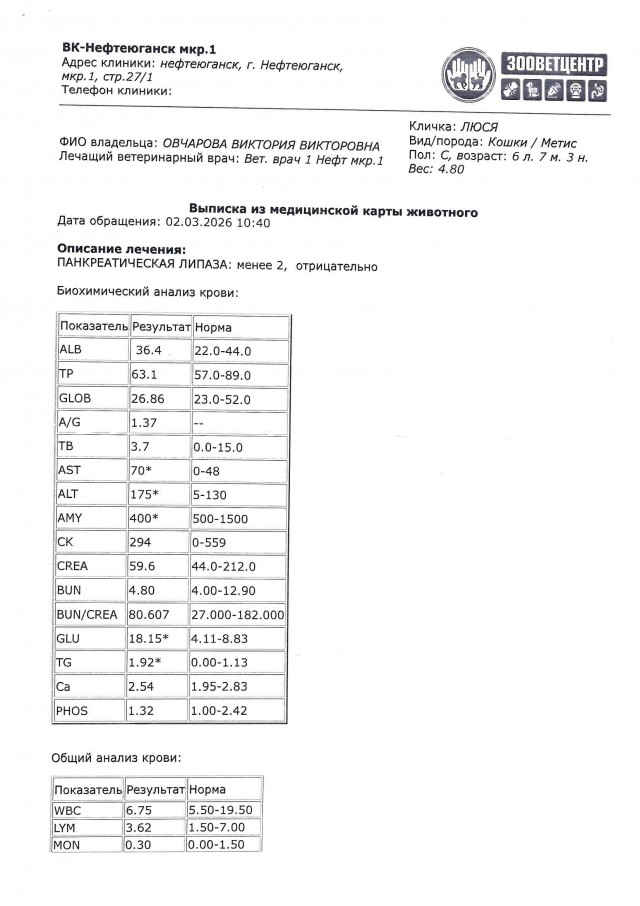 Усыплять или нет? Ветеринары есть?