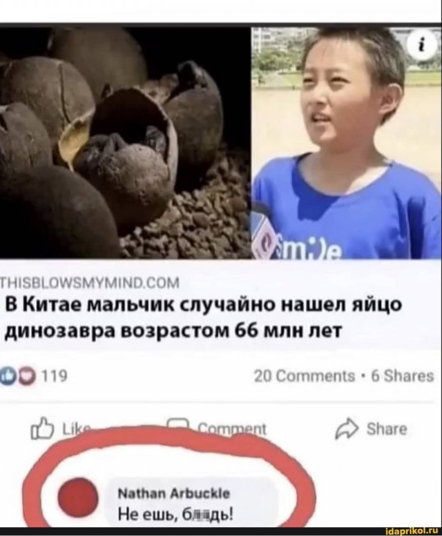 Ученые разбудили червя, пролежавшего 46 тысяч лет в мерзлоте