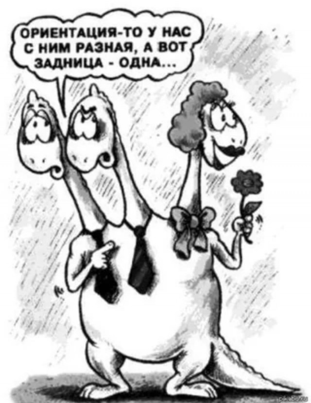Давно же не было